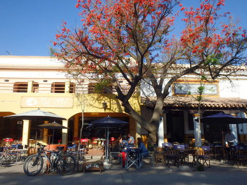 Federico flagged us down an open air bar/restaurant located directly across from the main plaza.